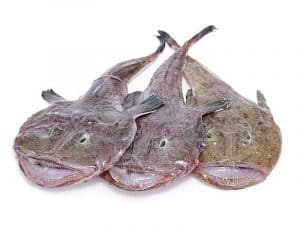Monkfish available to buy online from the Devon Fishmonger-UK Delivery