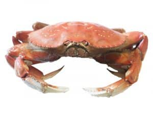 Whole Crab UK Delivery